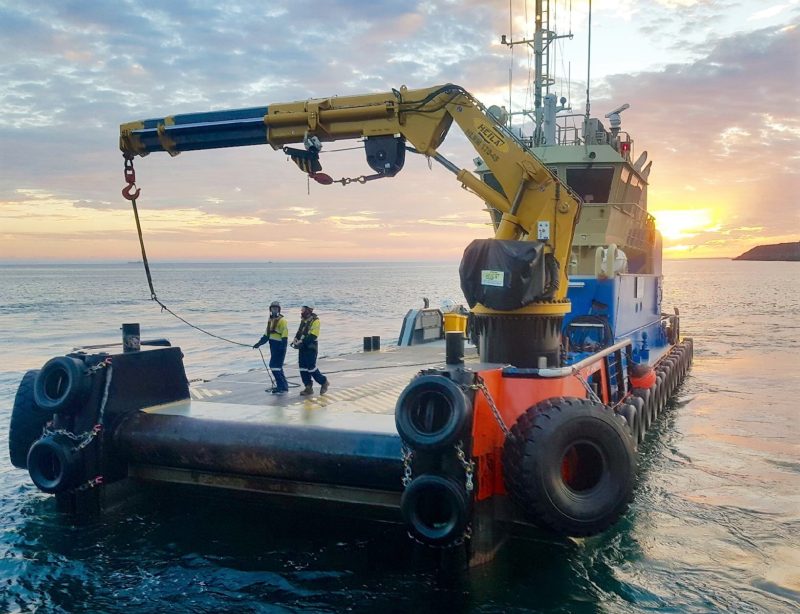 Wave Energy Farm